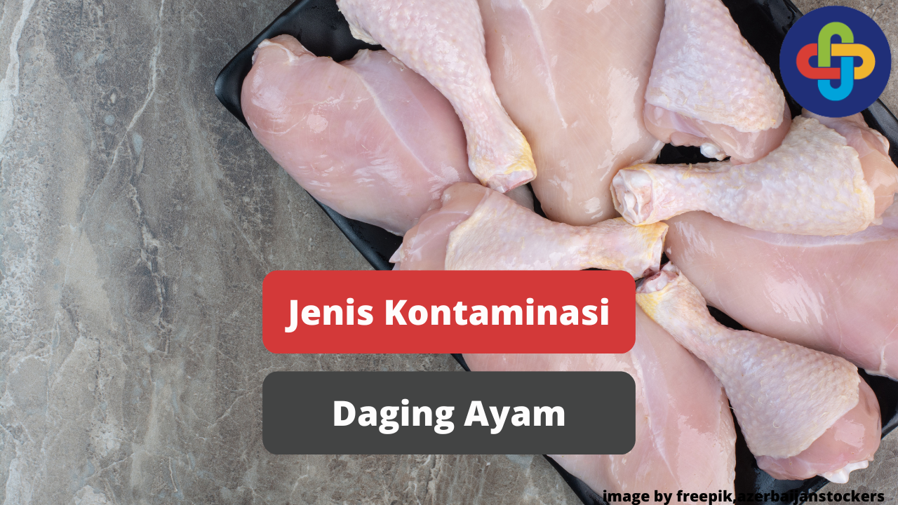 Jenis - Jenis Kontaminasi Yang Terjadi Pada Daging Ayam